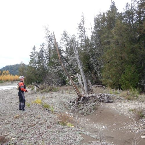 ACarpentier_Terrain2