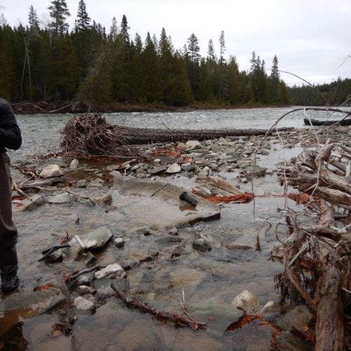 ACarpentier_Terrain3