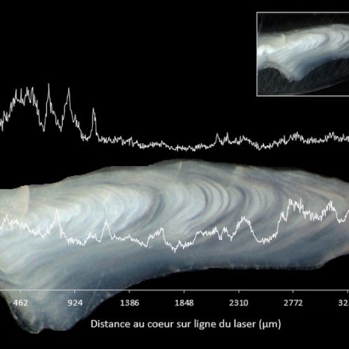 GauthierC2021_NatCan