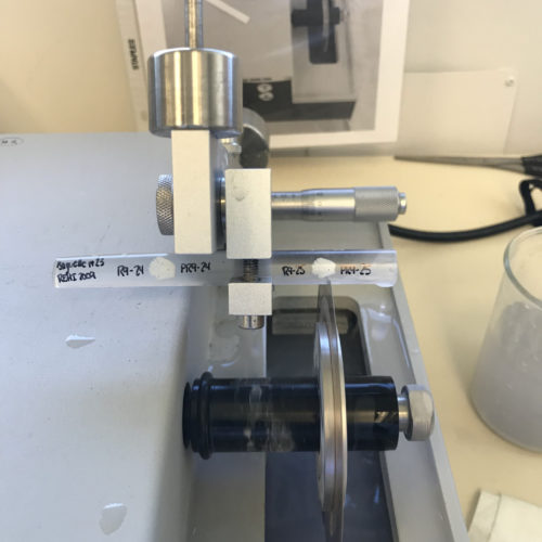 ScieOtolithes_RM_IMG_1453