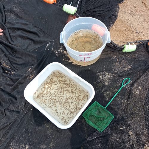 CoupDeSeine_FF021_2023-07-07