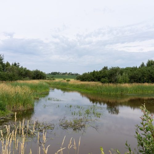 Marais LSJ-MOF 2-DSC05329