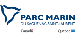 Parc marin du Saguenay-Saint-Laurent