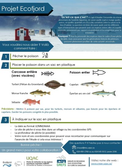 Marche à suivre - Pêche blanche 2024