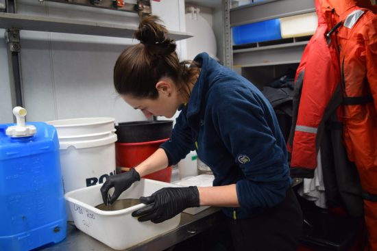 Juliette traite un échantillon à bord de l'Amundsen