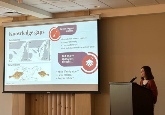 Présentation de Charlotte Gauthier à la LFC 2024