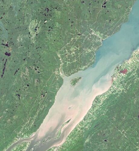 Estuaire_ForetOuverte2_verticalTeinte